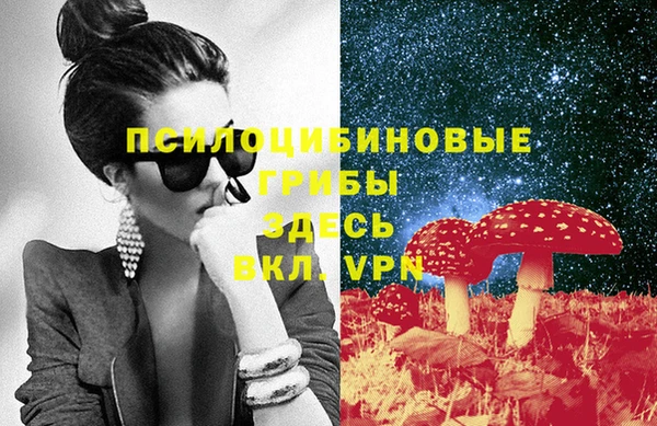 2c-b Алексин