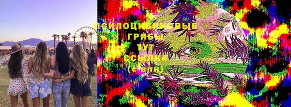 хмурый Алексеевка
